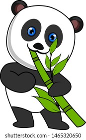 Panda comiendo bambú, ilustración, vector sobre fondo blanco.