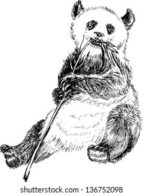 Panda eating bamboo vector