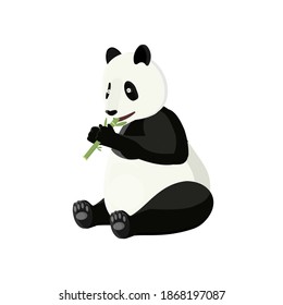 Panda. Panda eats cane, vector illustration