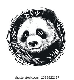 Panda engraving sketch black and white. Vector EPS 10, 3 colors.