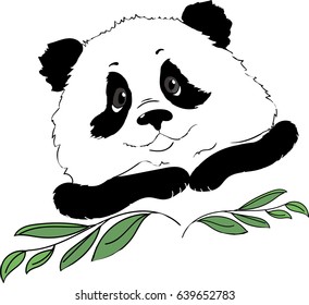 Panda face with bamboo