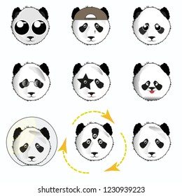 Panda face. Funny pandas. 