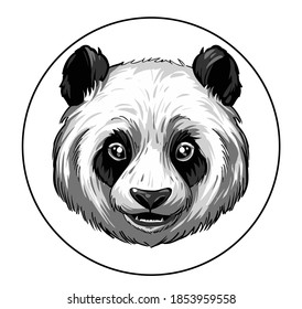 Panda face. Vector illustration, print design