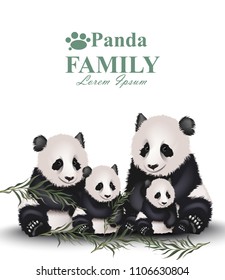 Panda family Vector. Cute animals detailed illustrations