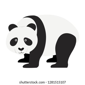 Panda flat design vector illustration isolated on white eps 10