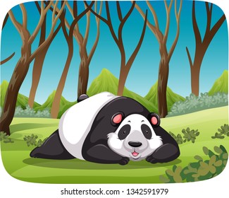 Panda en ilustración de escena forestal