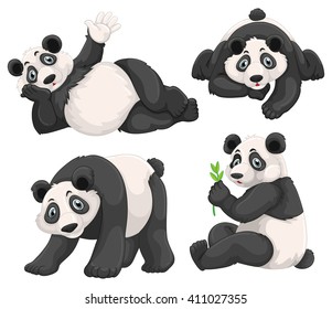 Panda in vier verschiedenen Posengrafiken