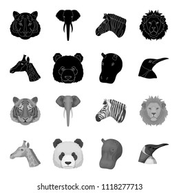 Panda, giraffe, hippopotamus, penguin, Realistic animals set collection icons in black,monochrome style vector symbol stock illustration web.