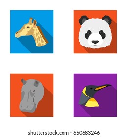 Panda, giraffe, hippopotamus, penguin, Realistic animals set collection icons in flat style vector symbol stock illustration web.