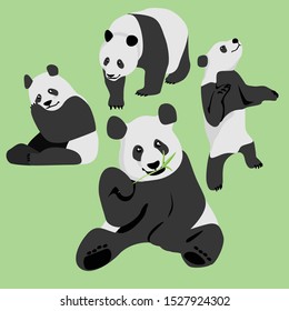 panda graphic Illustration and drawing material
