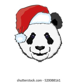 Panda in hat - vector illustration