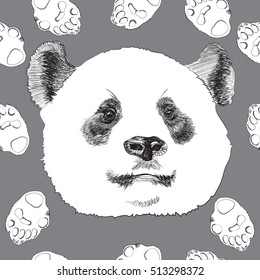 Panda head and feet on a gray background. Portrait of a black and white bear