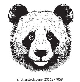 Panda-Kopfskizze, handgezeichnet in Dodle-Art-Illustration