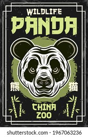 Panda head vintage colored poster for china zoo vector decorative illustration. Layered, separate grunge textures and text with chinese hieroglyphs (signifying panda)