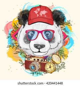 Panda hipster, art print panda in a baseball cap, animal illustration 
