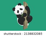 panda hugs tree and chews leaves