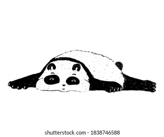 Panda illustration on white background. Modern vector illustration. Print. Animal character. Cartoon style.