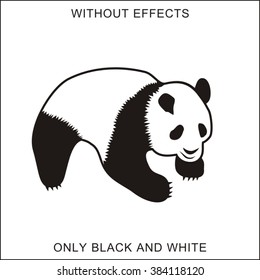 Panda. Isolated on white.