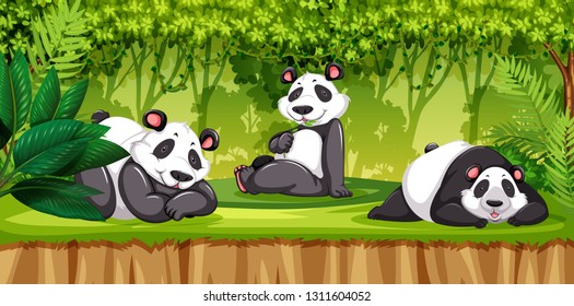 Panda in a jungle illustration