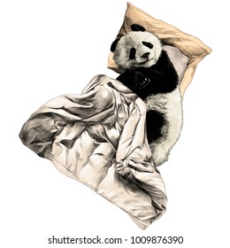 Panda lies on a pillow under a blanket sketch vector graphics color picture
