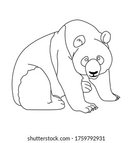 Panda line art. continuous line drawing. line art vector logo design. illustration. hand made icon sketch