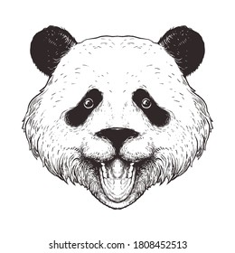 panda line art illustration vector