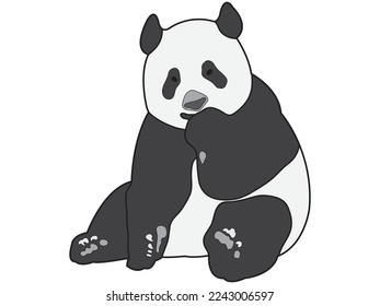 Panda in line art style on white background.