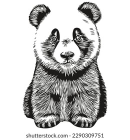 Panda-Logo, schwarz-weiße Illustration, Pandas

