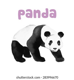 Panda looks.