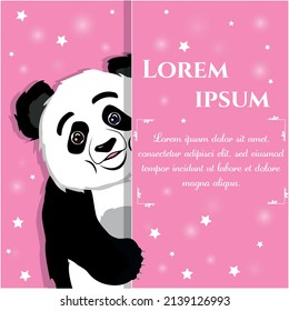 The panda looks out. Asian bear. Vector stock illustration. Animal. Pink background. Cartoon. Place for an inscription.