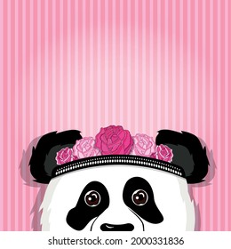 The panda looks out. Back pink background with stripes. Black panda in beautiful style. Vector graphic illustration. Funny cartoon character.