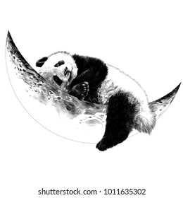 Panda lying on the Crescent moon sketch vector graphics monochrome drawing