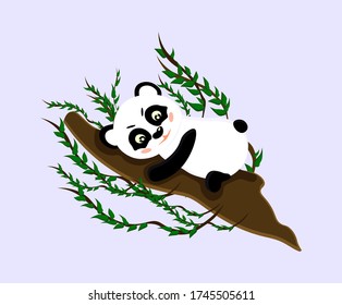 The Panda is lying on a tree. Vector isolated illustration with a tropical animal. Wild animal logo. Cartoon character to design cards, clothing, glassware. Doodle style. Panda resting on a tree.