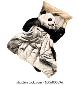 Panda lying under the blanket sketch vector graphics color illustration