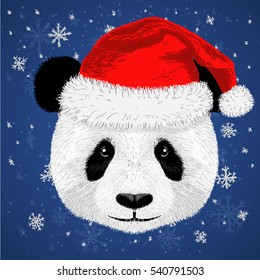 Panda Merry Christmas And Happy New Year