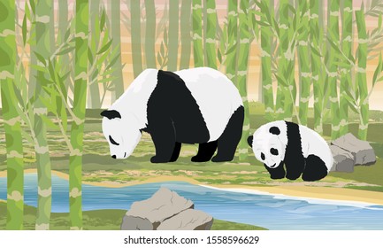 A Panda Mom And Her Cub Walk Through A Bamboo Forest Along A Riverbank. Asian Animals. China. Realistic Vector Landscape