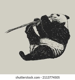 Panda nibbles a branch. Panda sketch hand drawing. Panda vector