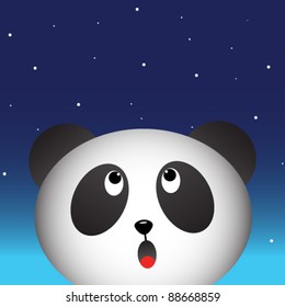 Panda in the night sky