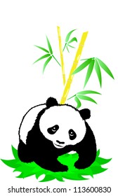 Panda on a background of bamboo