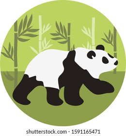 Panda on bamboo forest background. Vector illustration.