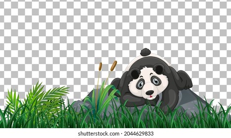 Panda on the grass field on transparent background illustration