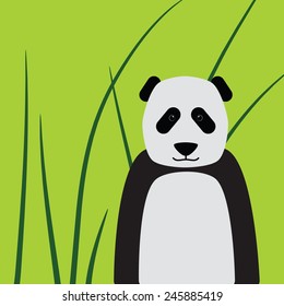 Panda on the green background.