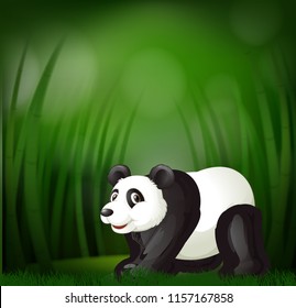 A panda on green blur background illustration