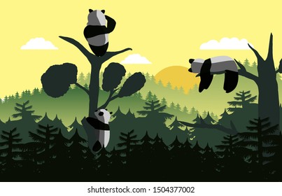 panda on top of the tree with sunrise scene