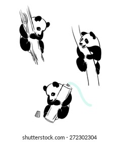 Panda on the tree, panda with a tube