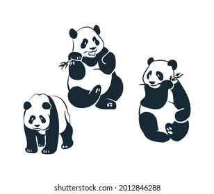 Panda-Pine-Skizze, Vektorgrafik, japanisch, chinesisch, einzeln