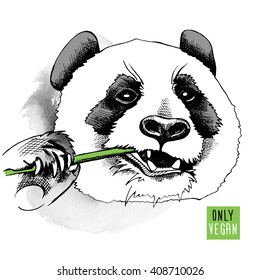 Panda portrait with a branch of bamboo. Vector illustration.