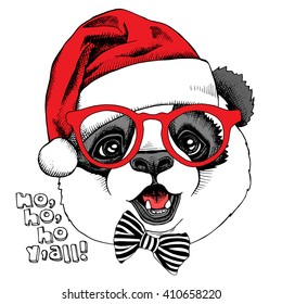 Panda portrait in glasses and with a red Santas hat. Vector illustration.