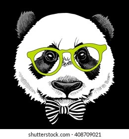 Panda portrait in a glasses with tie on black background. Vector illustration.