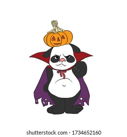 Panda prepared for Halloween dressed in a creepy Cape and a pumpkin with candles on its head